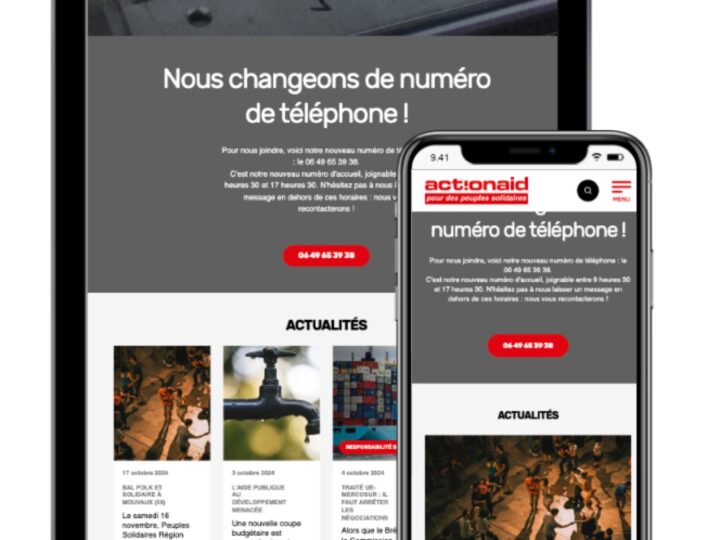 ActionAid project screen 1