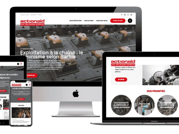 ActionAid project screen 2
