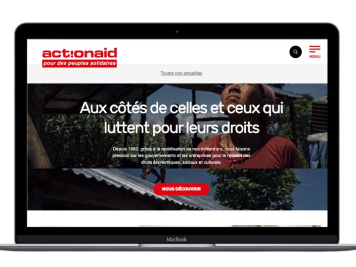 ActionAid project screen 3
