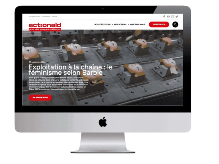 ActionAid project screen 4