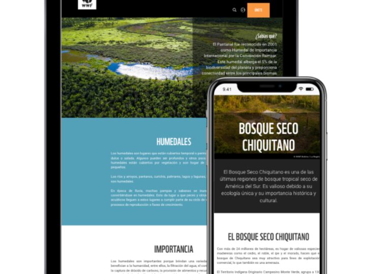 WWF project screen 1