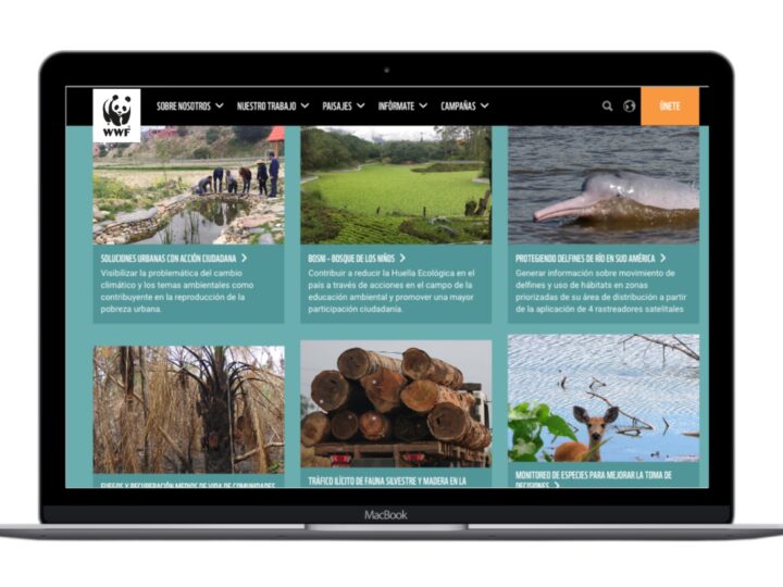 WWF project screen 3