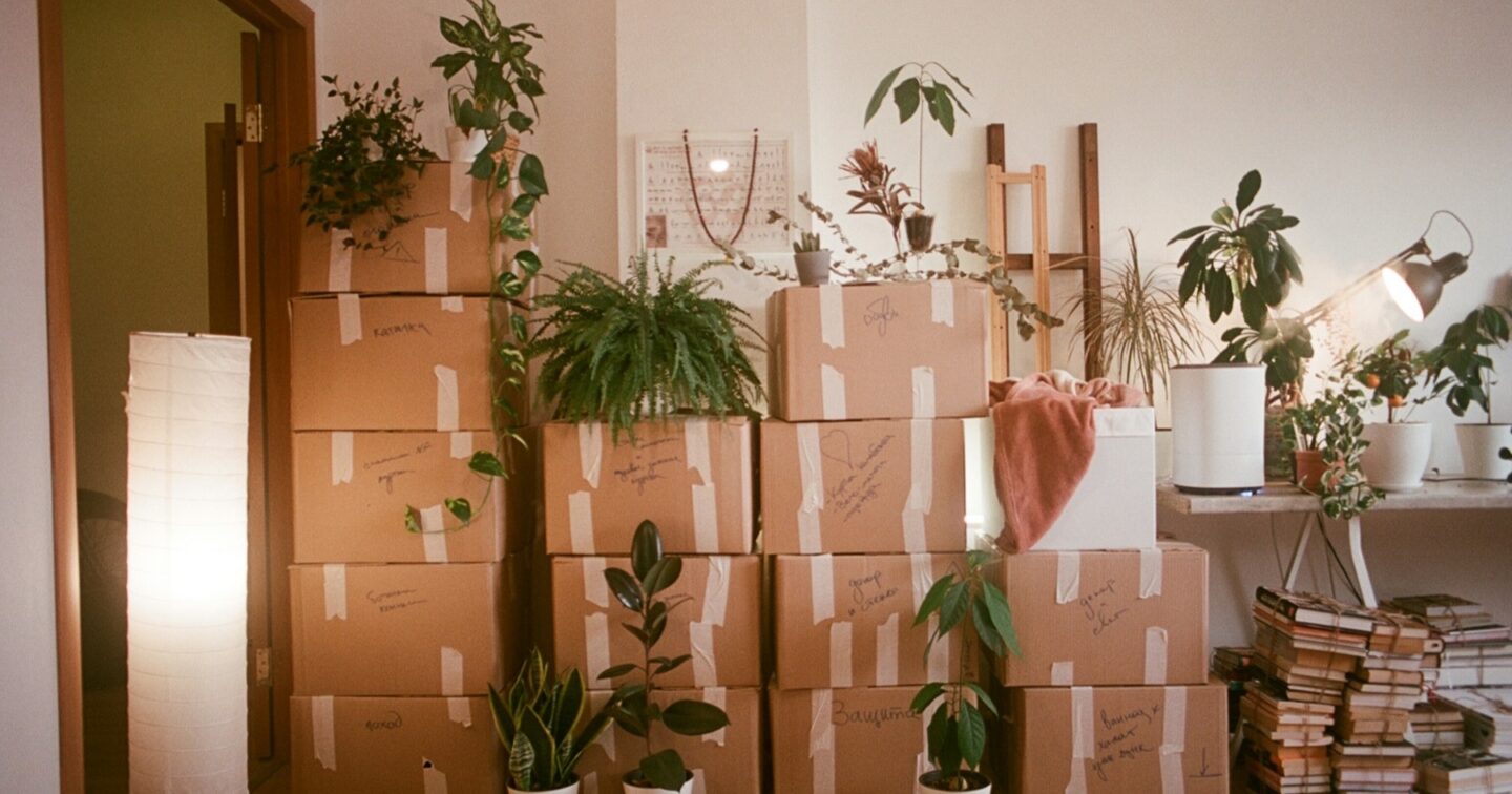 Stacked and labelled cardboard moving boxes with house plants, ready for a move, illustrating a carefully planned website migration