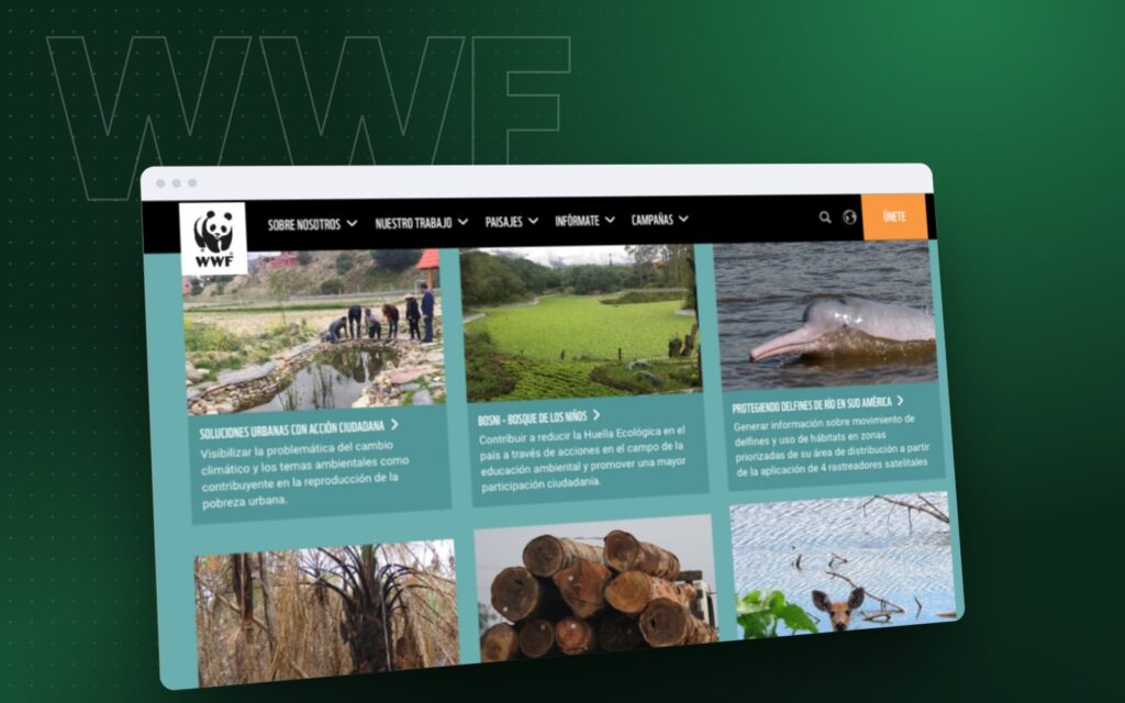 WWF: the project on desktop and phone screens
