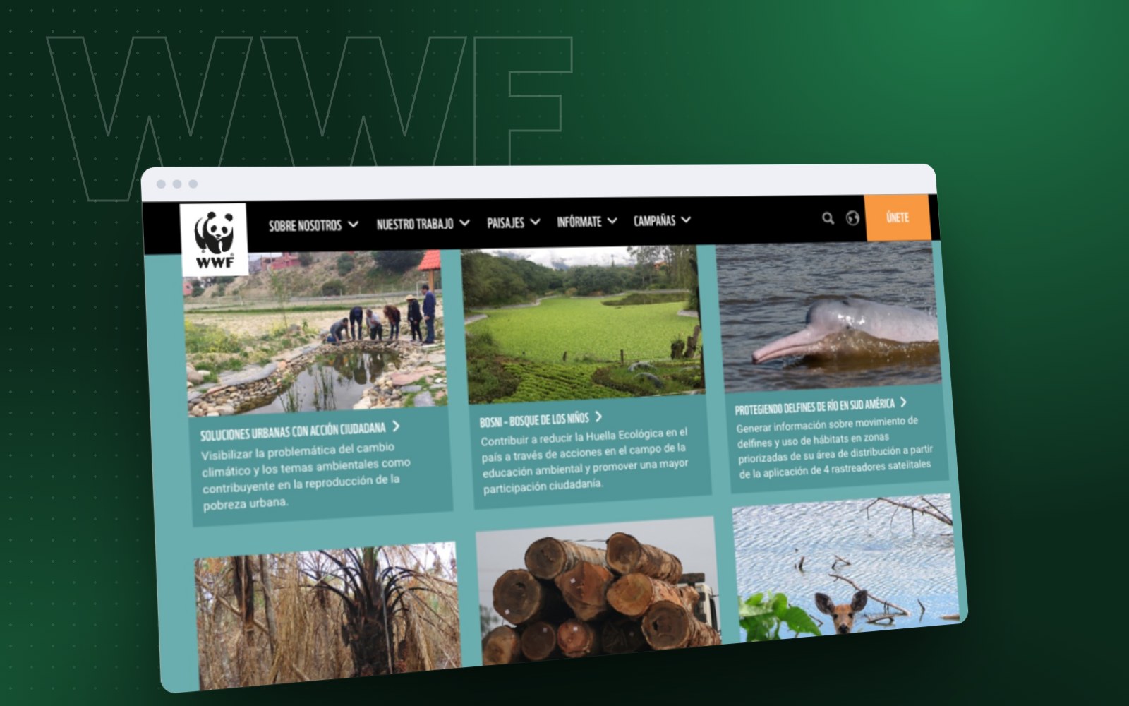 WWF: the finished project on desktop and phone